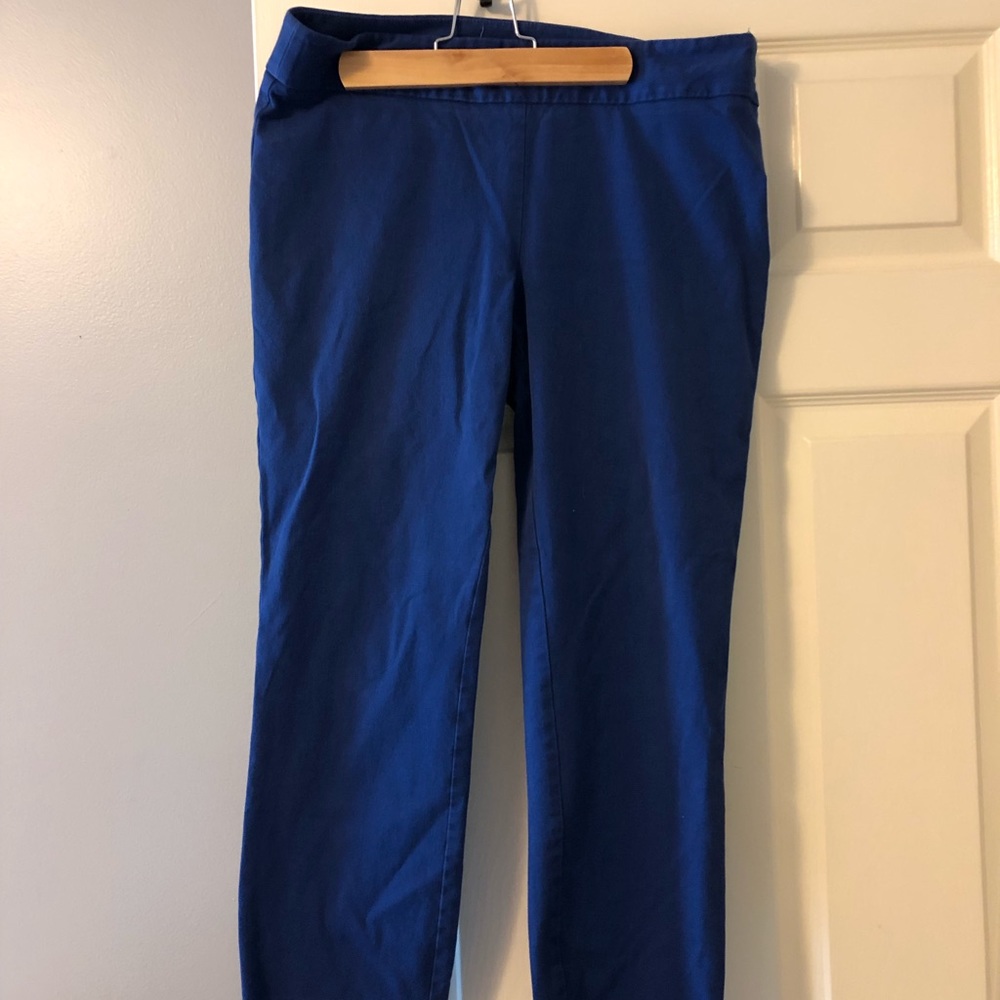 Loft Marisa pants
